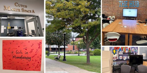 Entrepreneurial Ecosystem and Economic Development in Cattaraugus County, NY