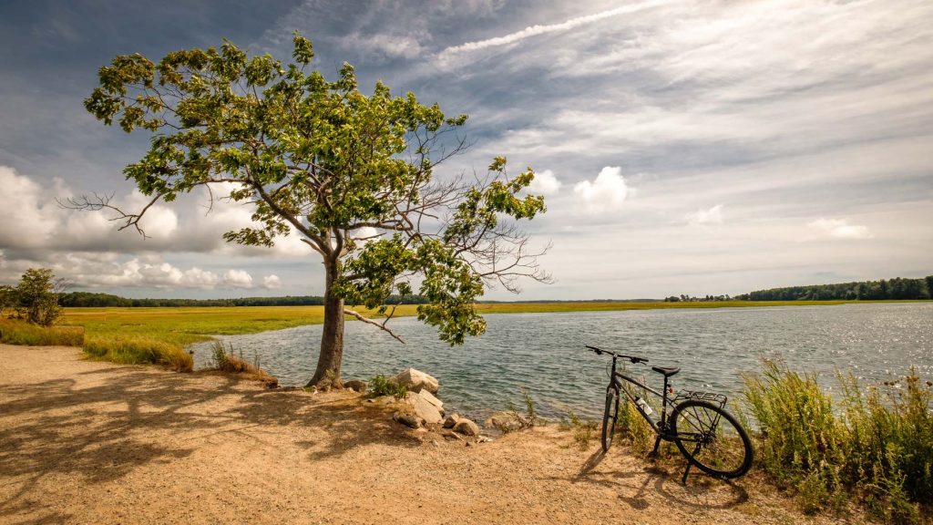 Scarborough Marsh on the Eastern Trail