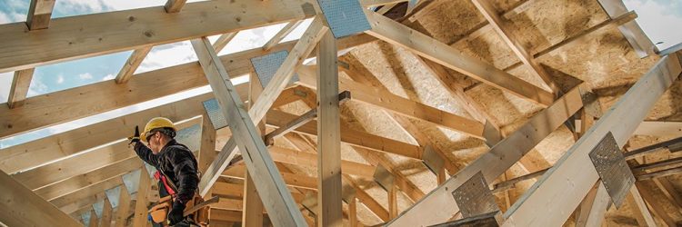 Economic Contribution of the Home Building Sector in Long Island, NY