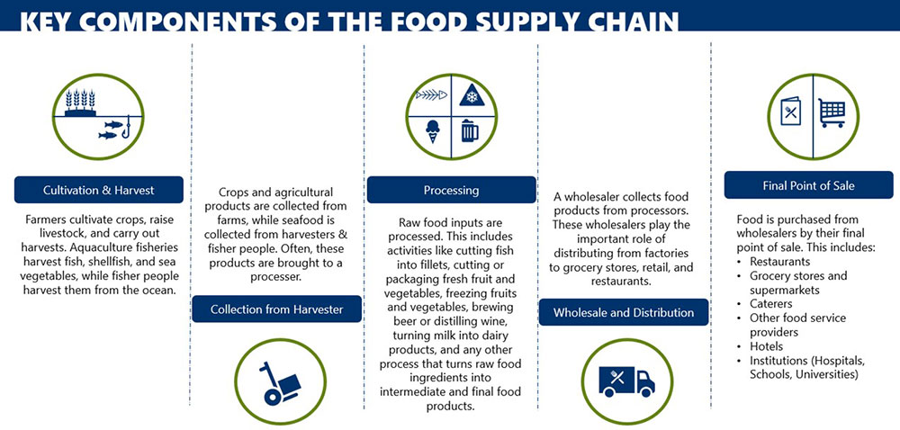 Key Components of the Food Supply Chain