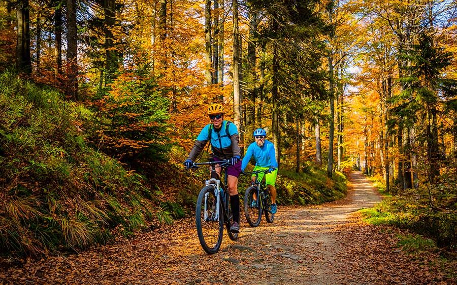 Two people ride mountain bicycles along an unpaved trail in the woods during the fall