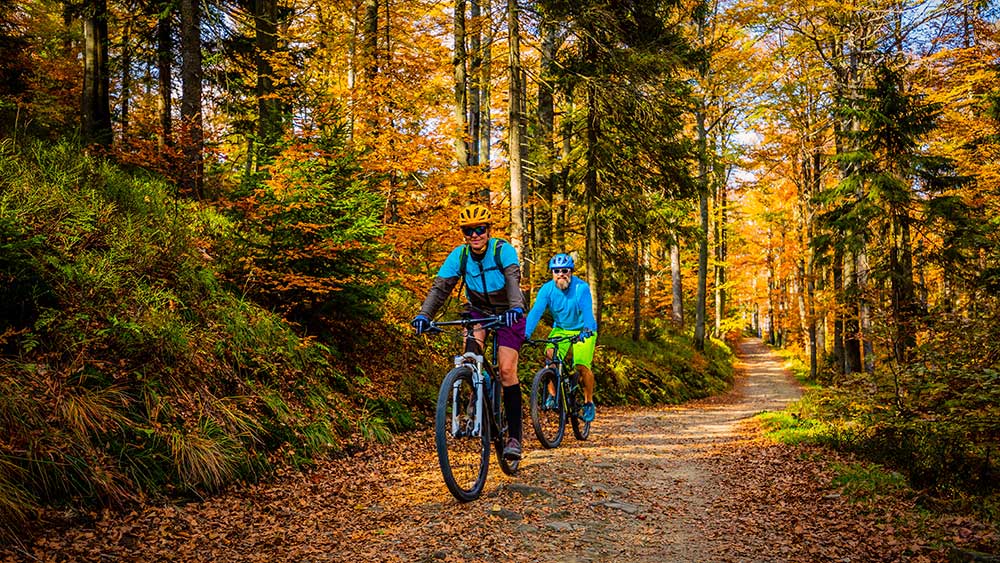 Two people ride mountain bicycles along an unpaved trail in the woods during the fall