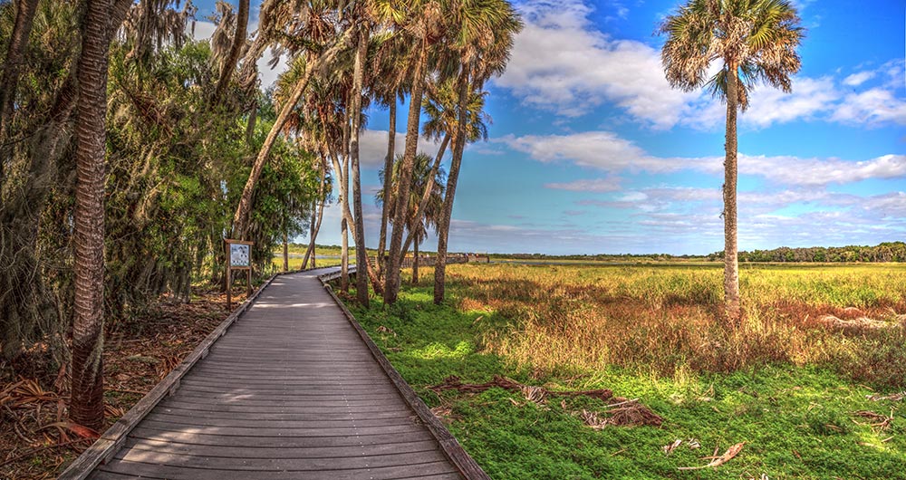 A wooden boardwalk winds through palm trees in the Myakka River State Park in North Port, Florida