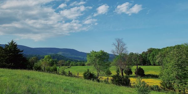 Economic Development and Organizational Plan in Chautauqua County, NY