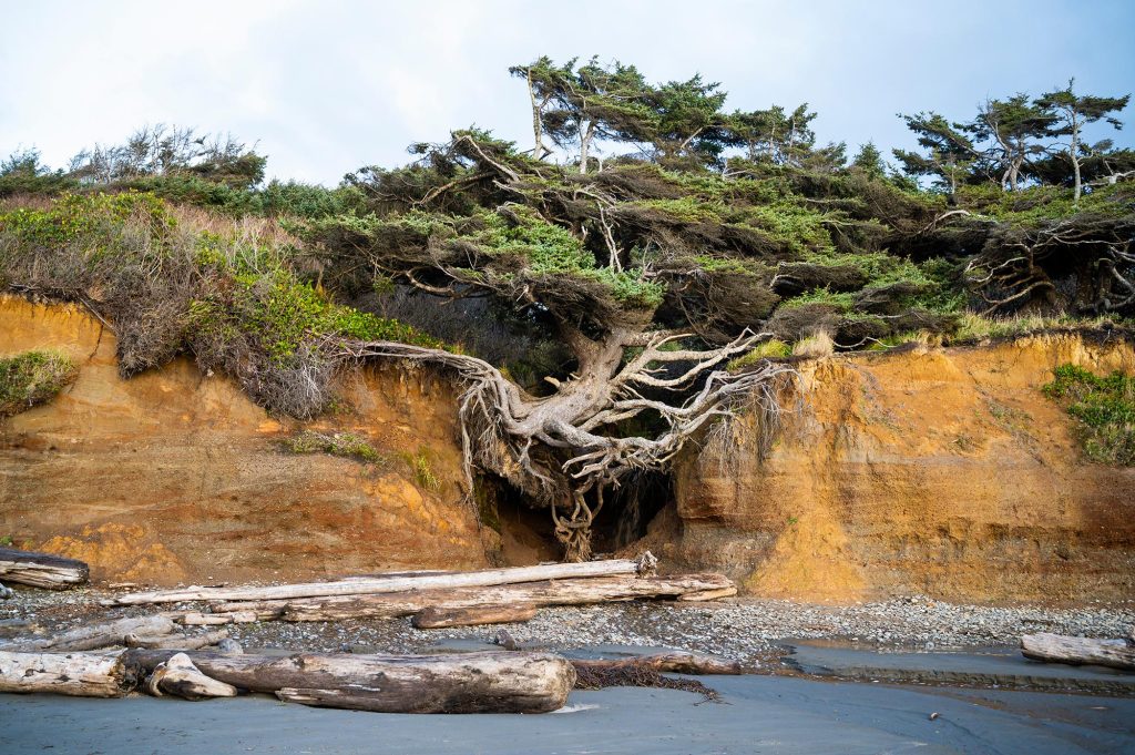 How resilience thinking can help your community gain the competitive edge