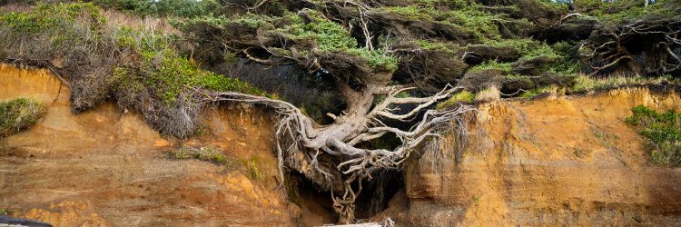 How Resilience Thinking Can Help Your Community Gain the Competitive Edge