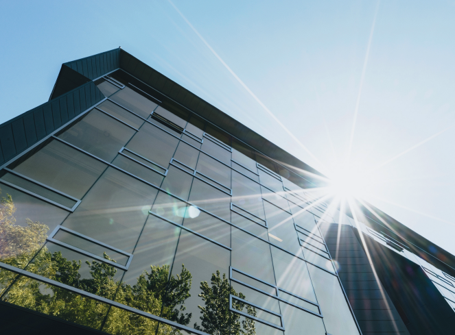 An office building with glass windows in the sun reflects green trees